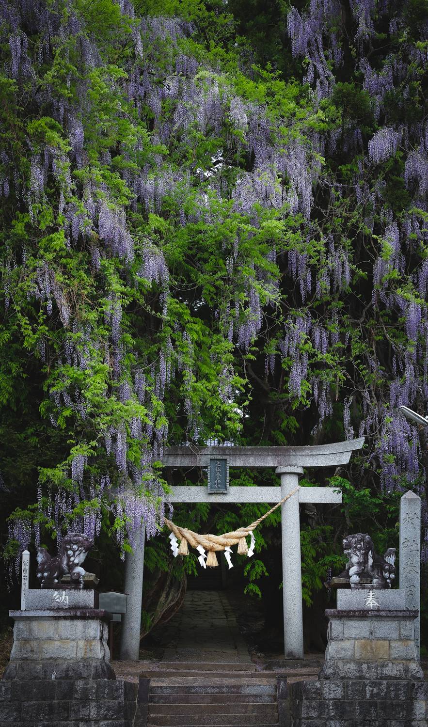 Фотография #12200924