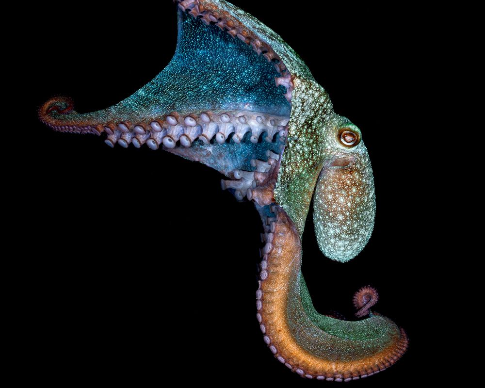 Photograph by Sebastian Arango