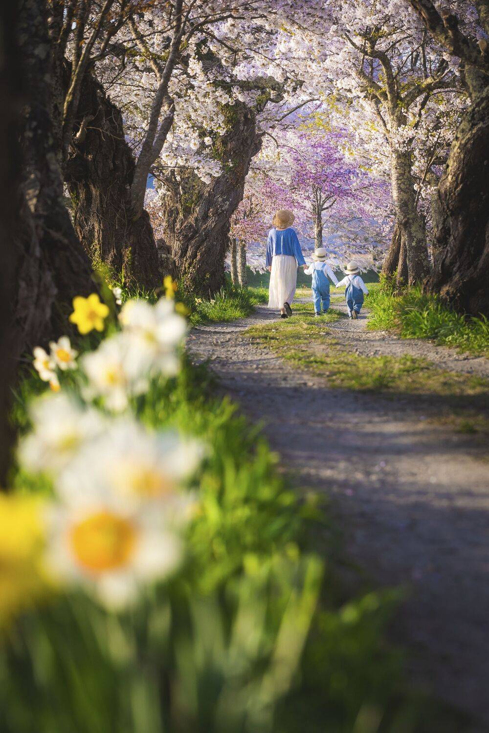 Фотография #12200941