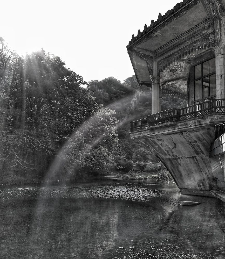 Photograph by мария Жигалова