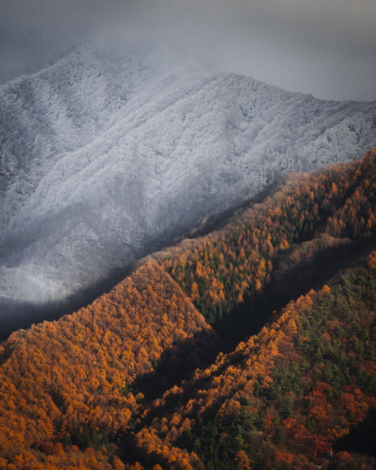 Фотография #12200975