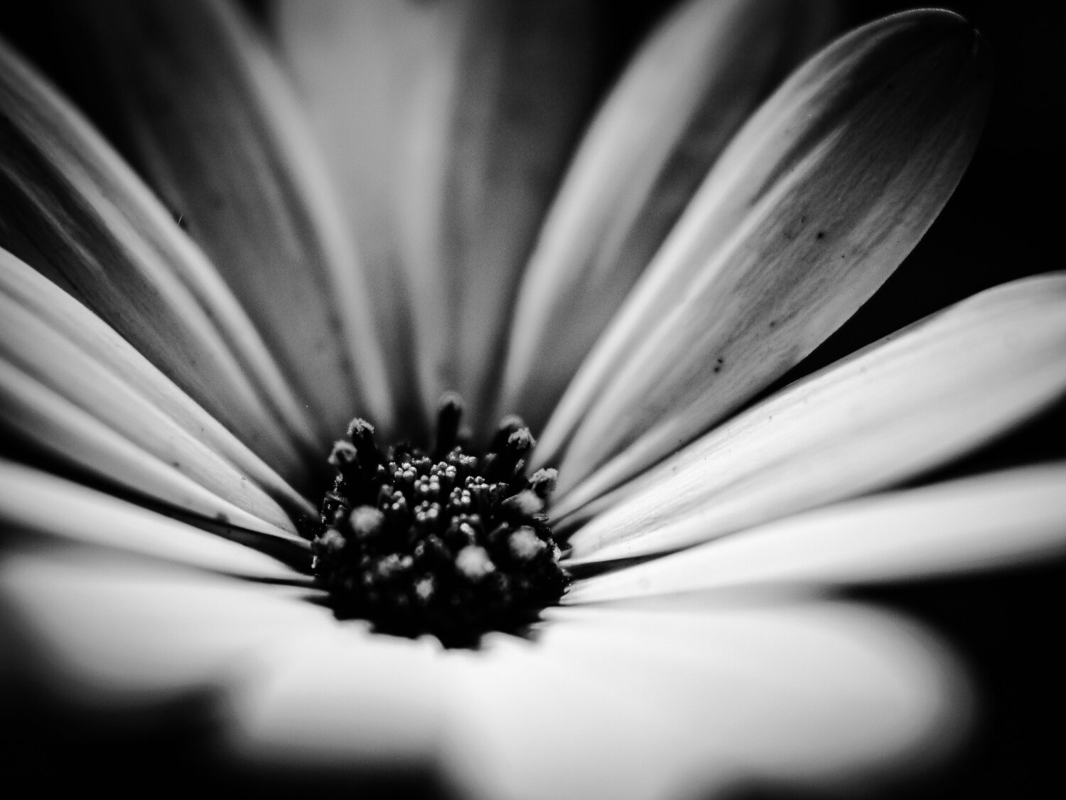 Photo #12201008