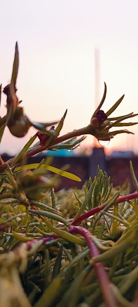 Photo #12201049