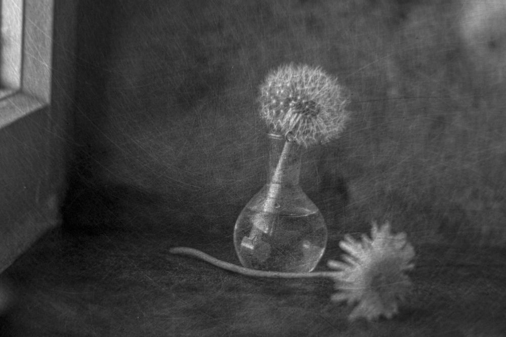 Photograph by Виталий Маслов