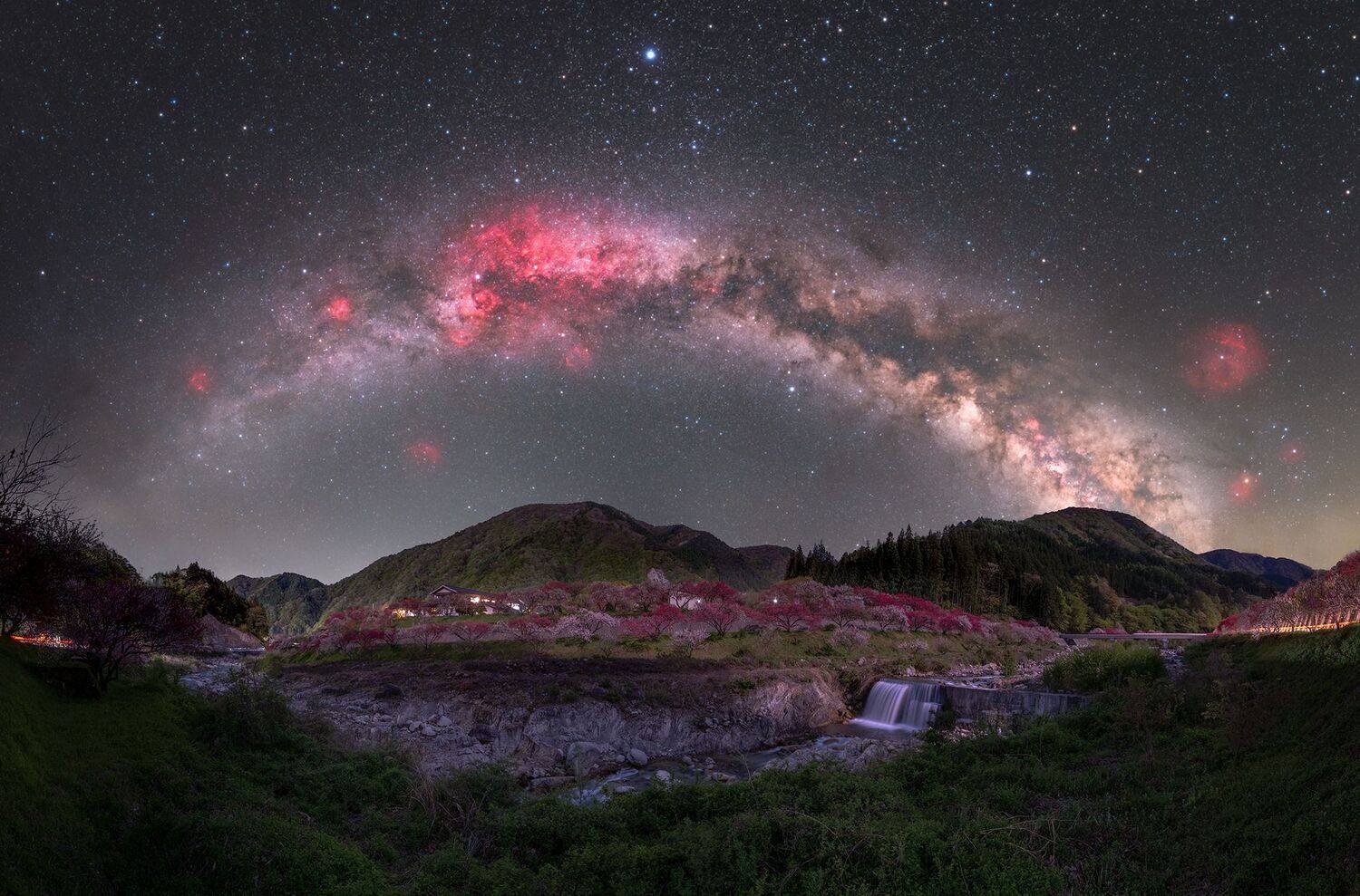 Фотография #12201237