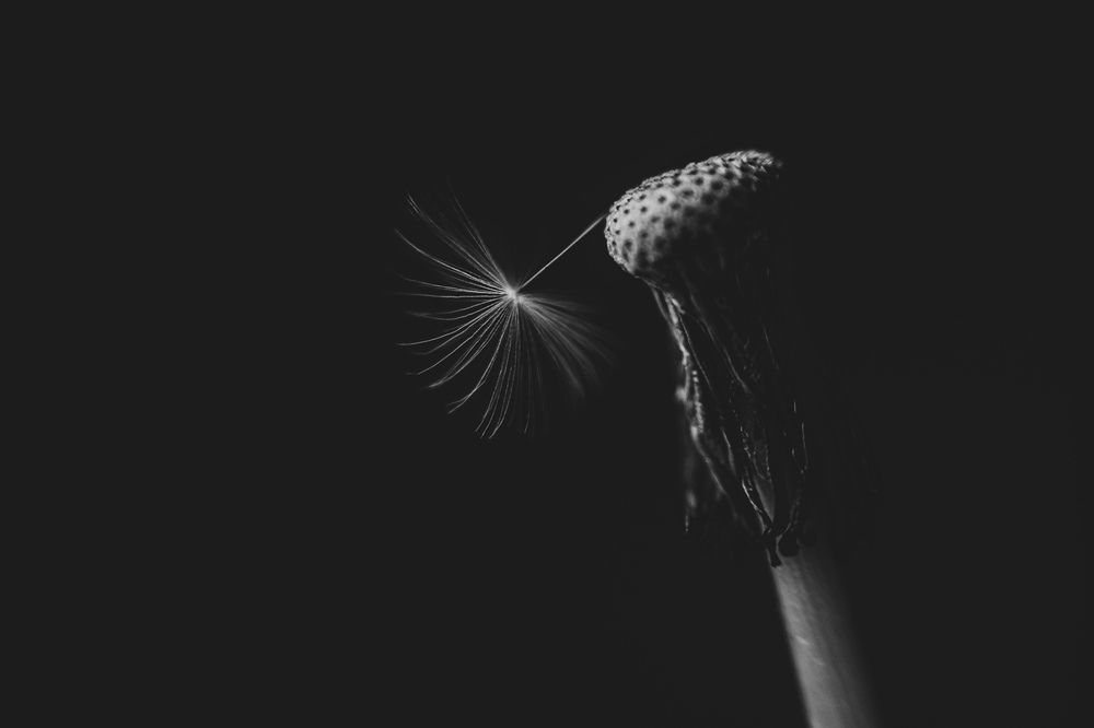 Photograph by Виталий Маслов