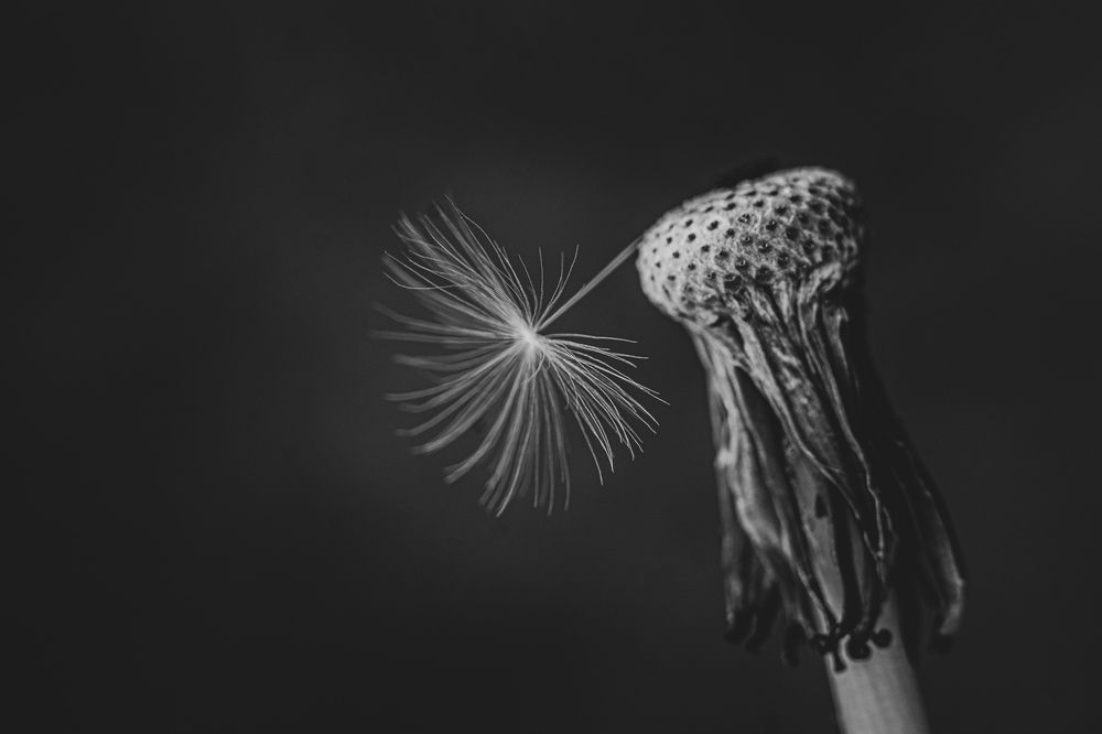 Photograph by Виталий Маслов