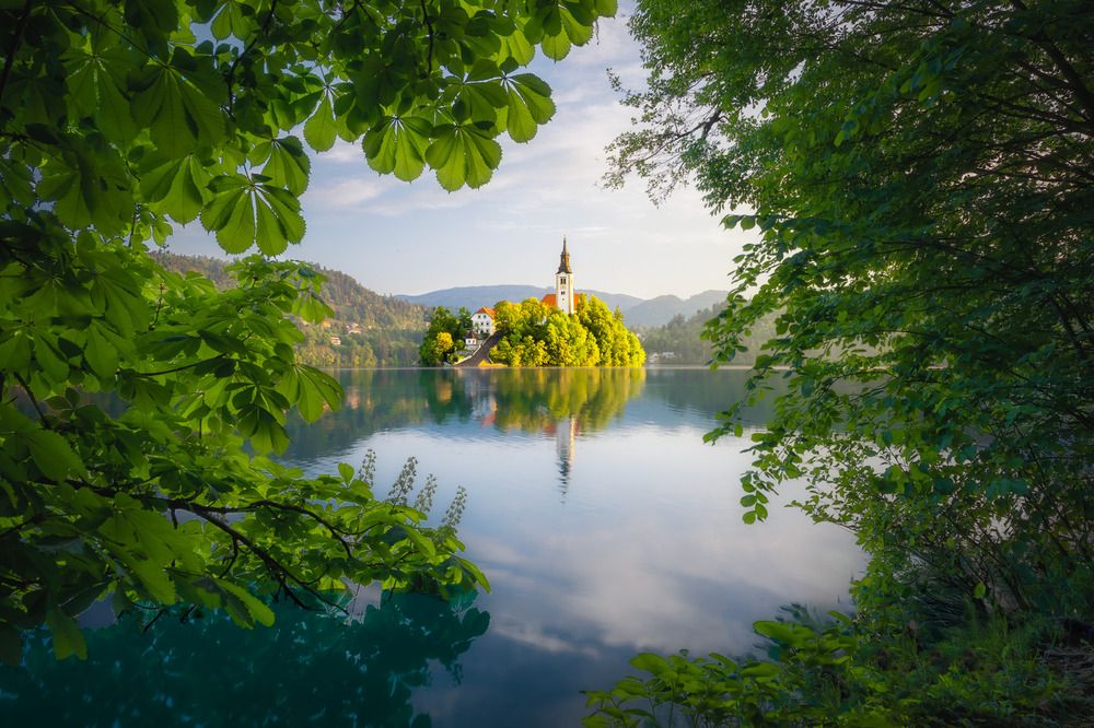 Фотография автора Andrea Bartoli