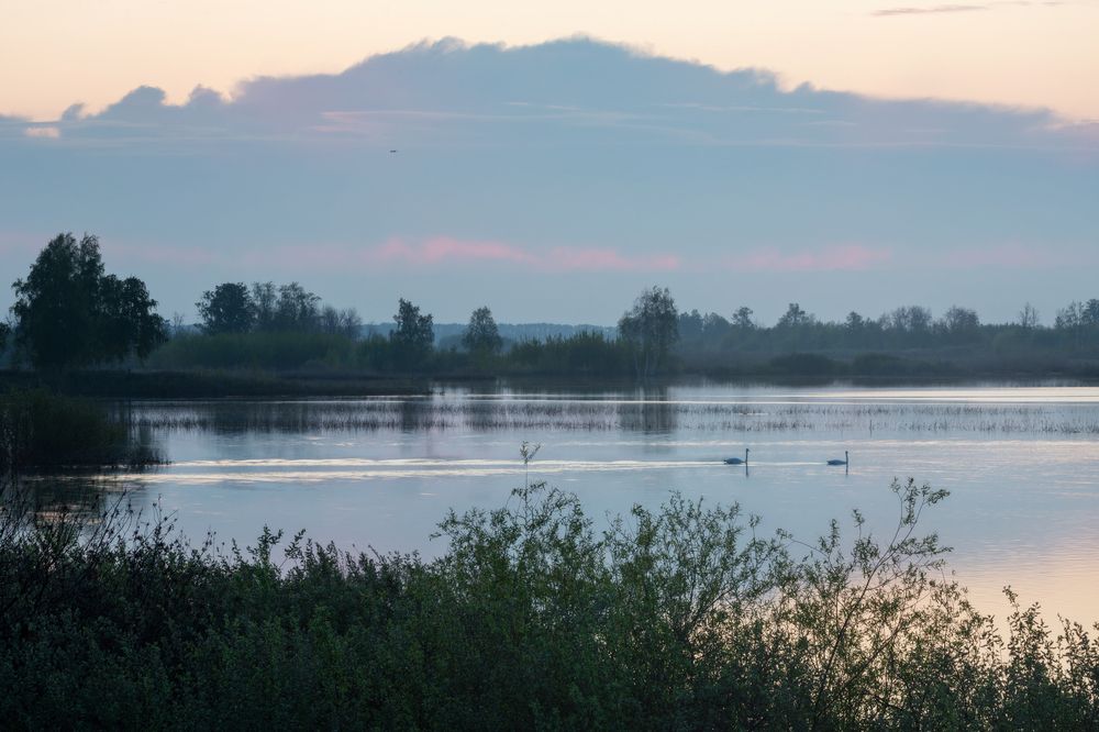 Photograph by Павел Гавриков