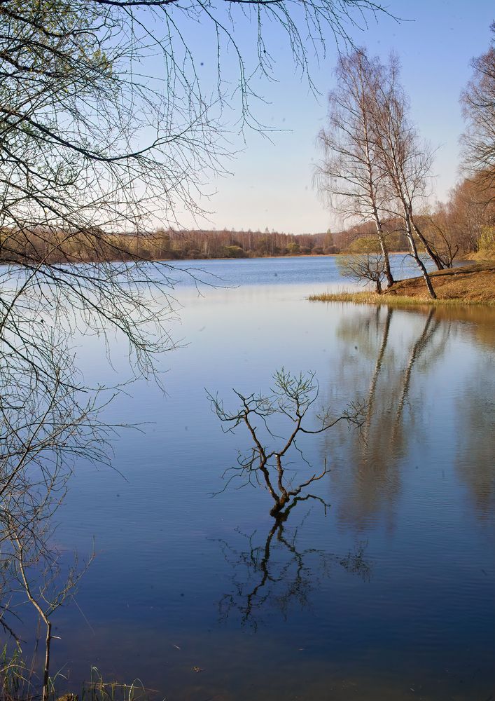 Фотография автора Борис