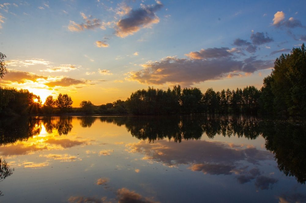 Photograph by Елена