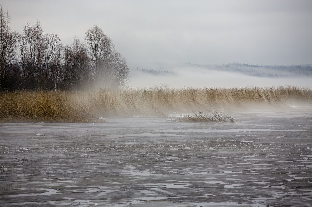 Photograph by Сергей Олюков