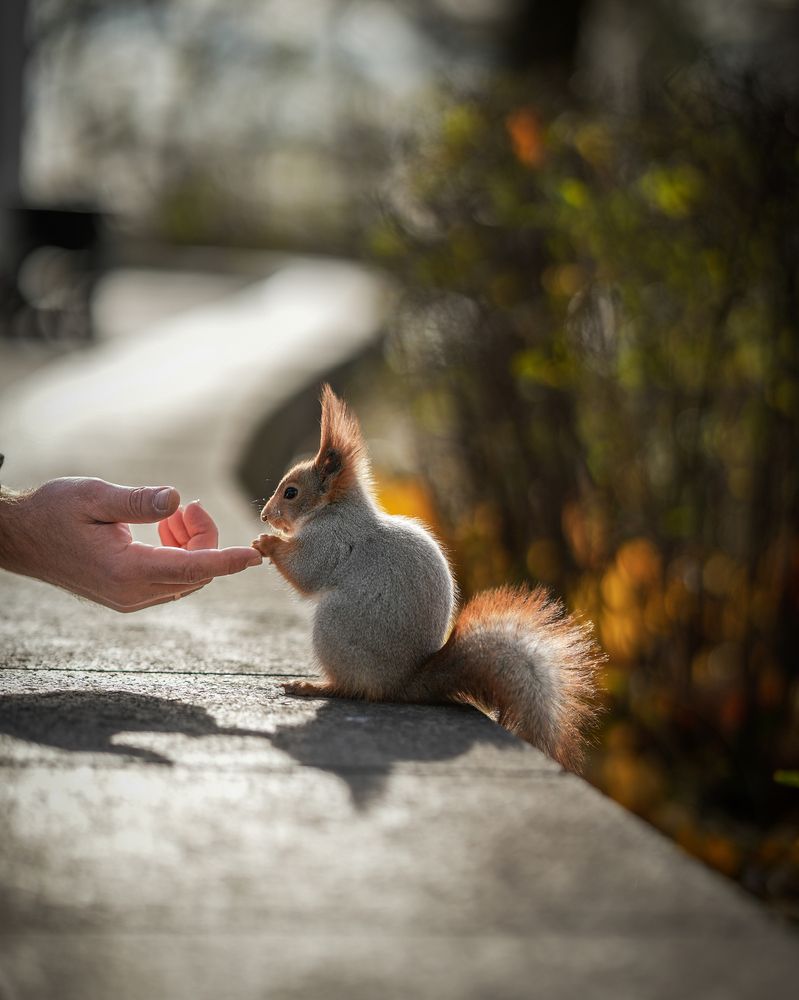 Фотография автора Andrey Sosnovsky