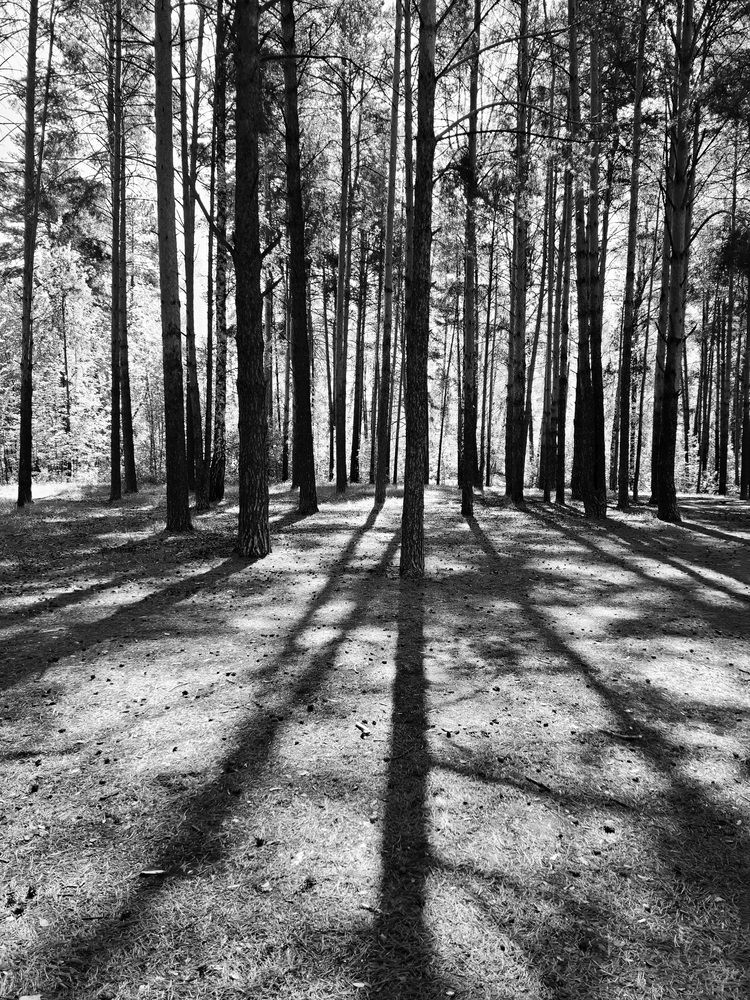 Photograph by Екатерина Балобанова