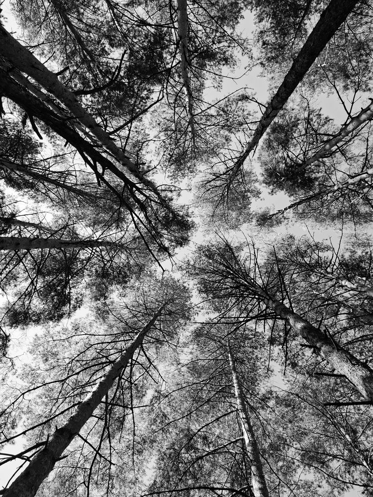 Photograph by Екатерина Балобанова