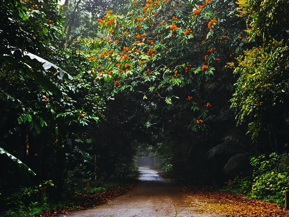 Photograph by Hiếu Bùi