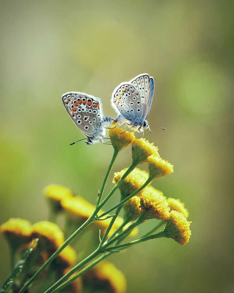 Фотография автора Andrey Sosnovsky