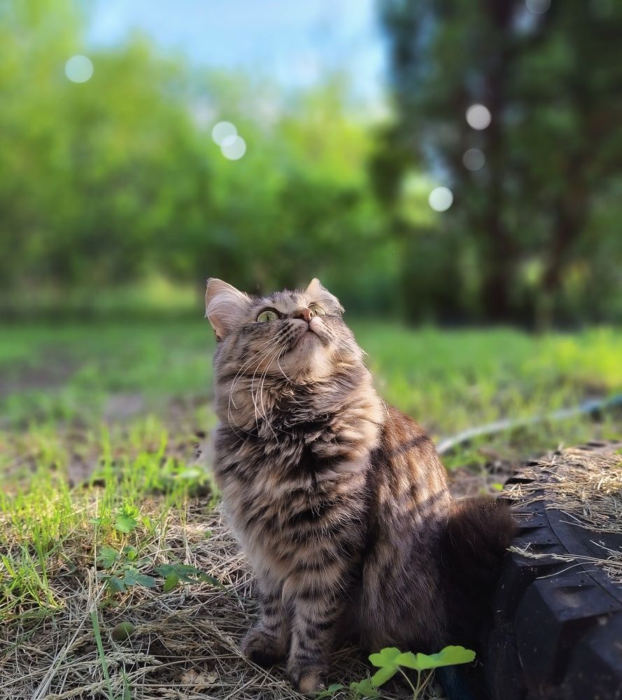 Photograph by Марина Мальцева