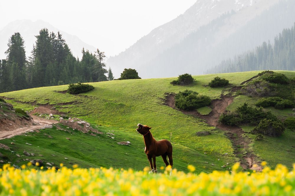 Photograph by Вячеслав Косенков
