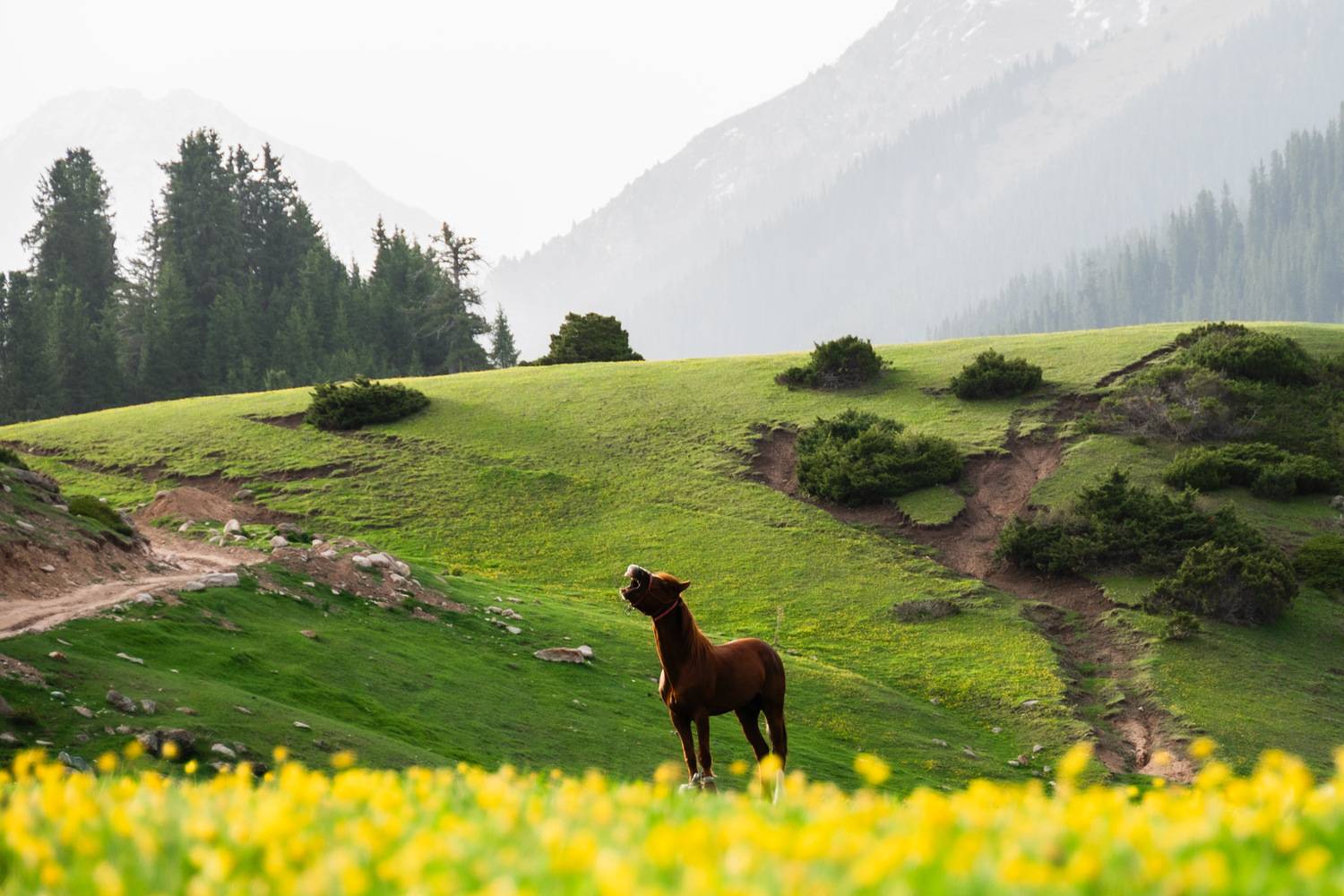 Фотография #12201864