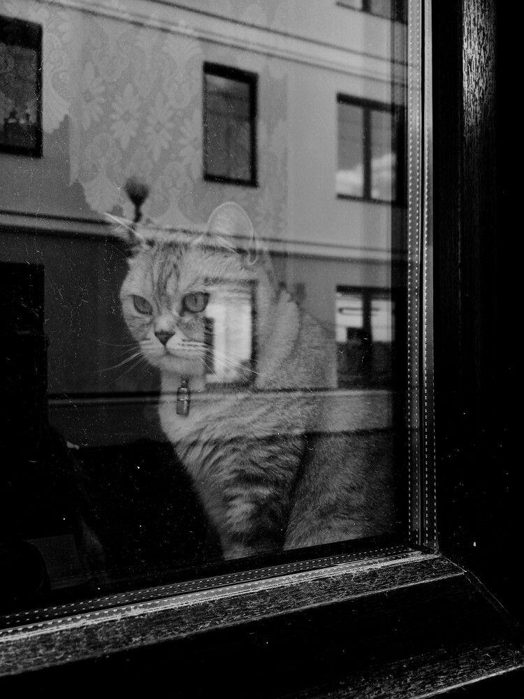 Photograph by Anna Grinkevich