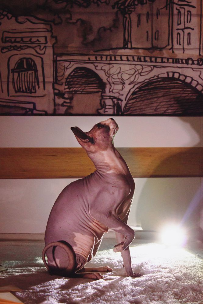 Photograph by Елена Ибрагимова