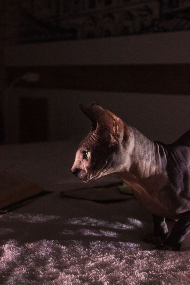 Photograph by Елена Ибрагимова