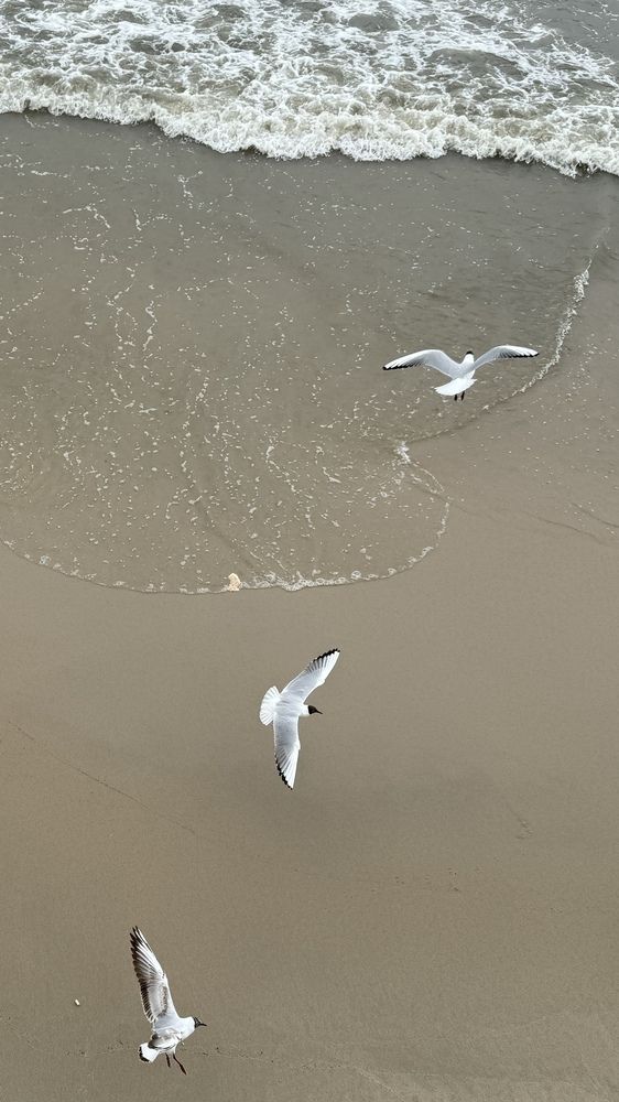 Photograph by Сергей Смирнов