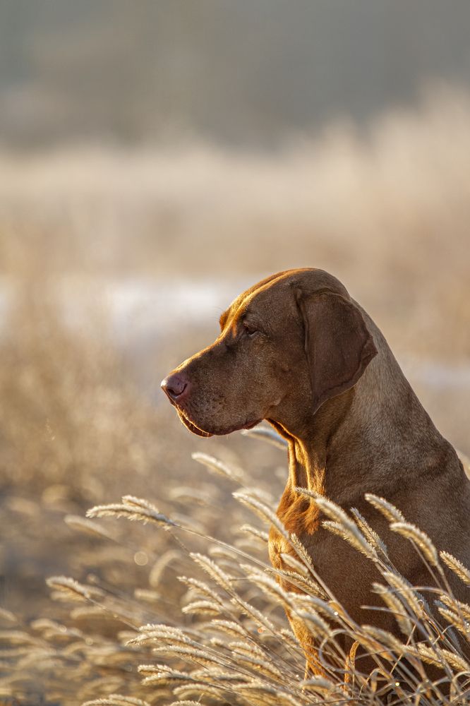 Photograph by Эльнара Исаева