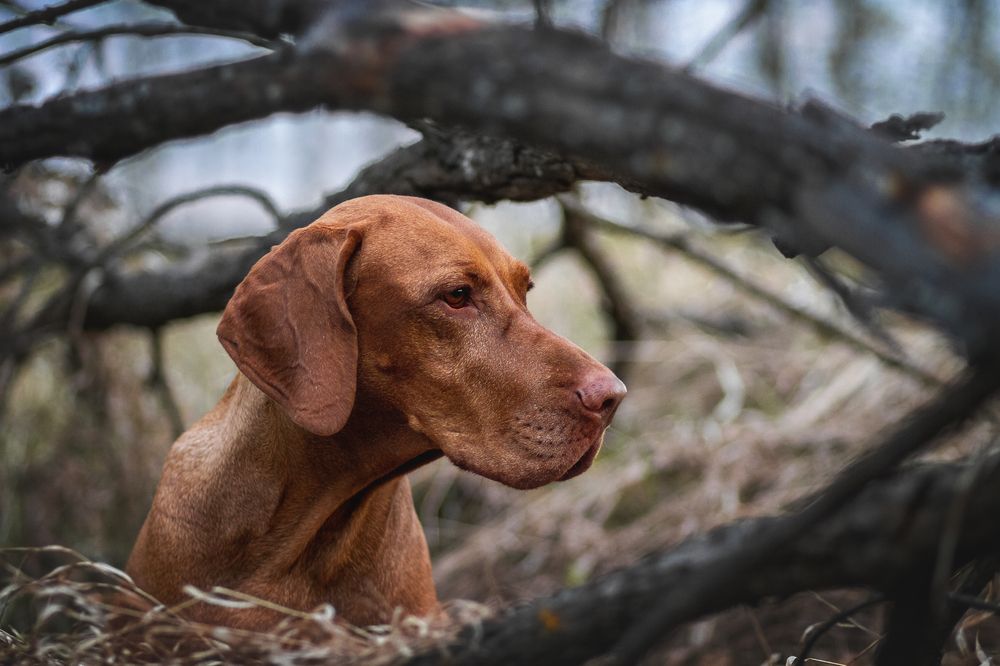 Photograph by Эльнара Исаева