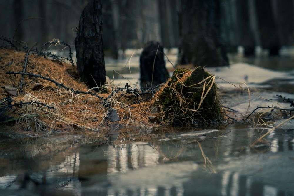 Photograph by Михайлов Юрий Анатольевич
