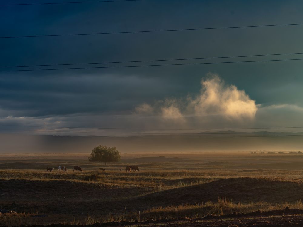 Photograph by Михайлов Юрий Анатольевич