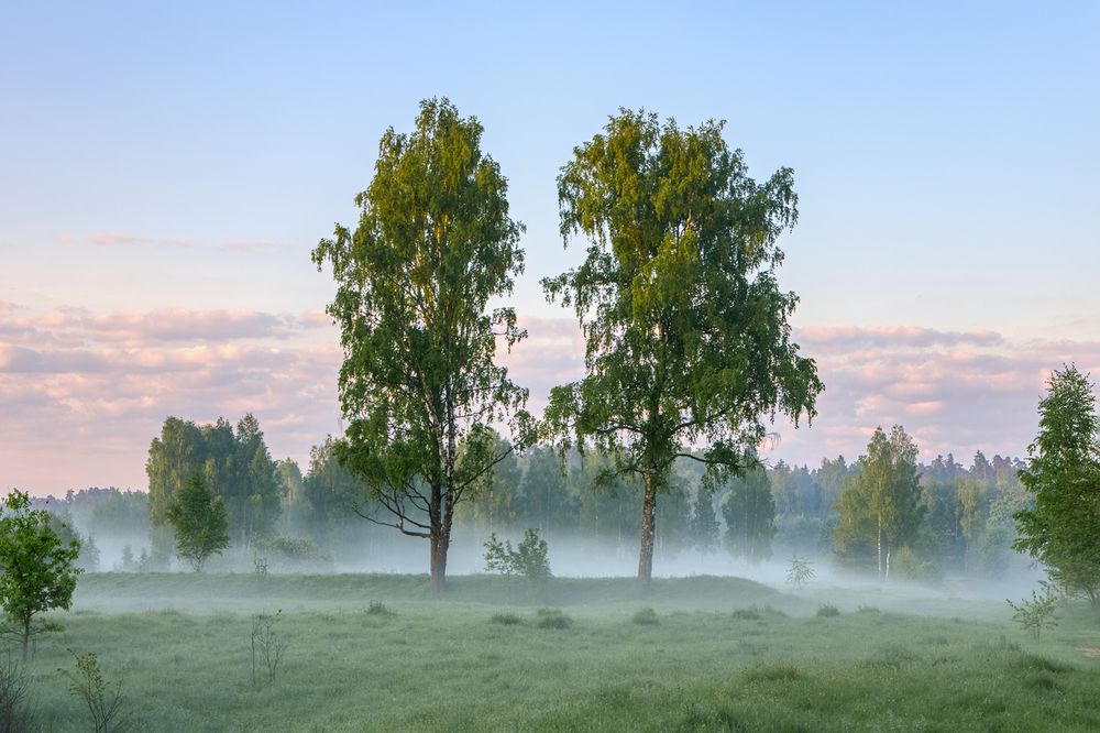 Photograph by Юрий Спасенников