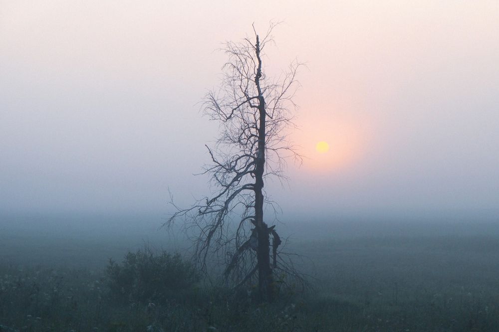Photograph by Юрий Спасенников