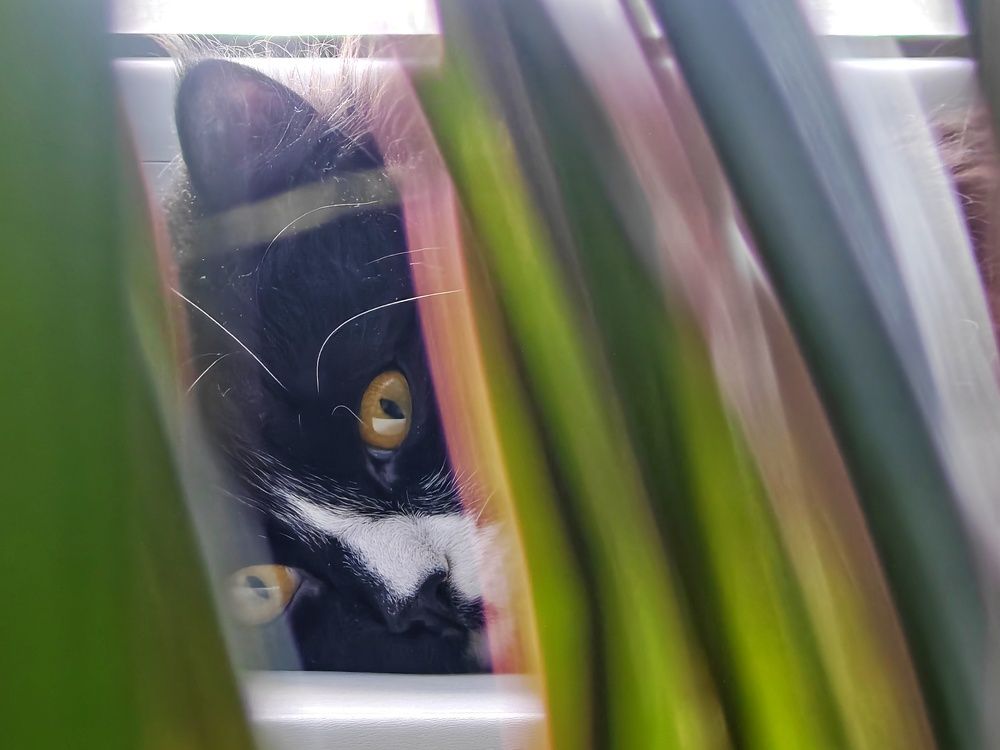 Photograph by Вячеслав Рудинский