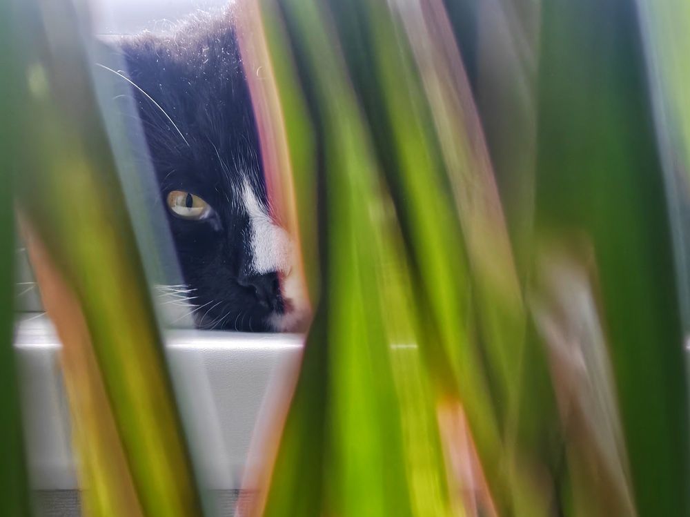 Photograph by Вячеслав Рудинский