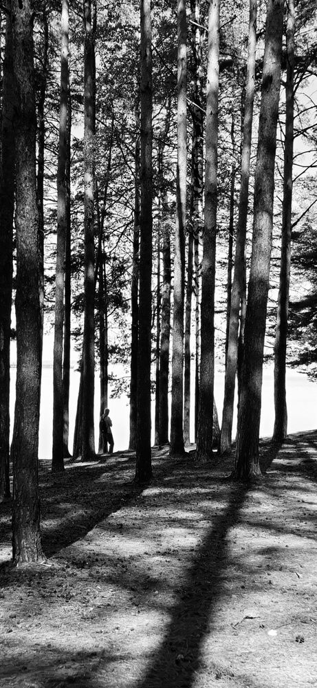 Photograph by Екатерина Балобанова