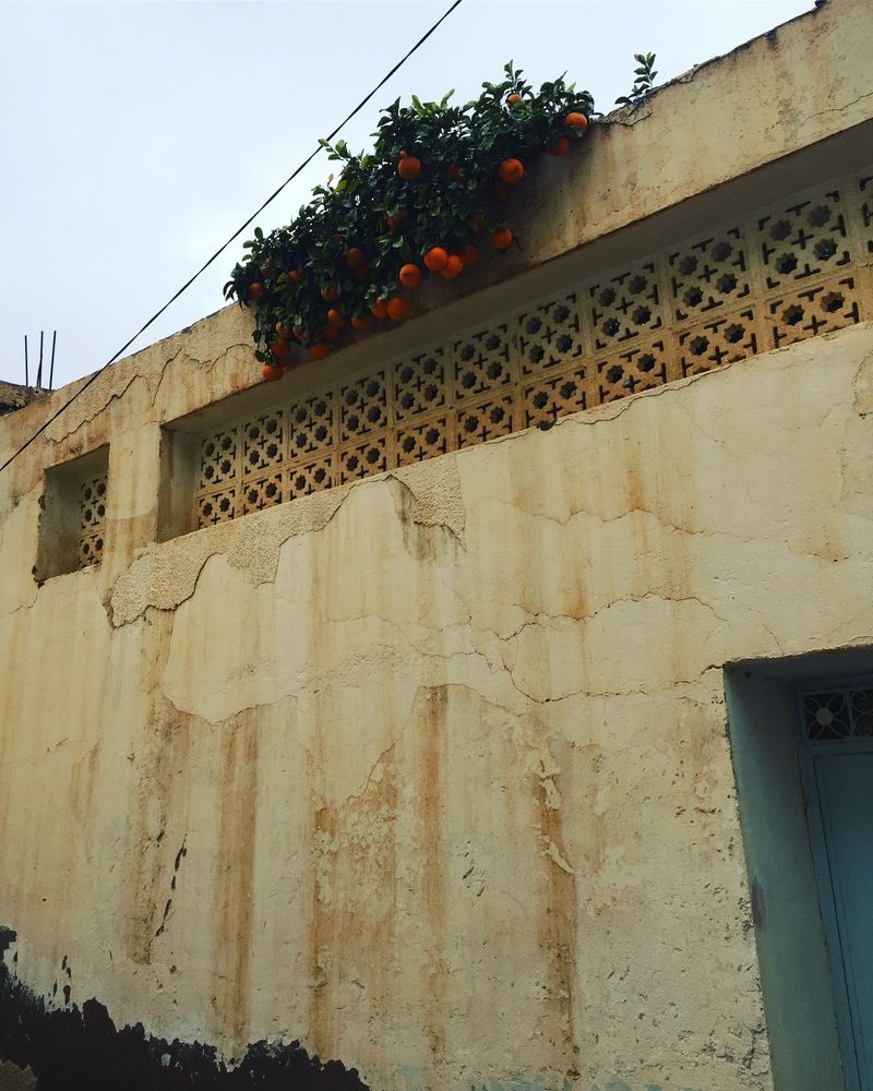 Фотография автора Kheria Mkadem