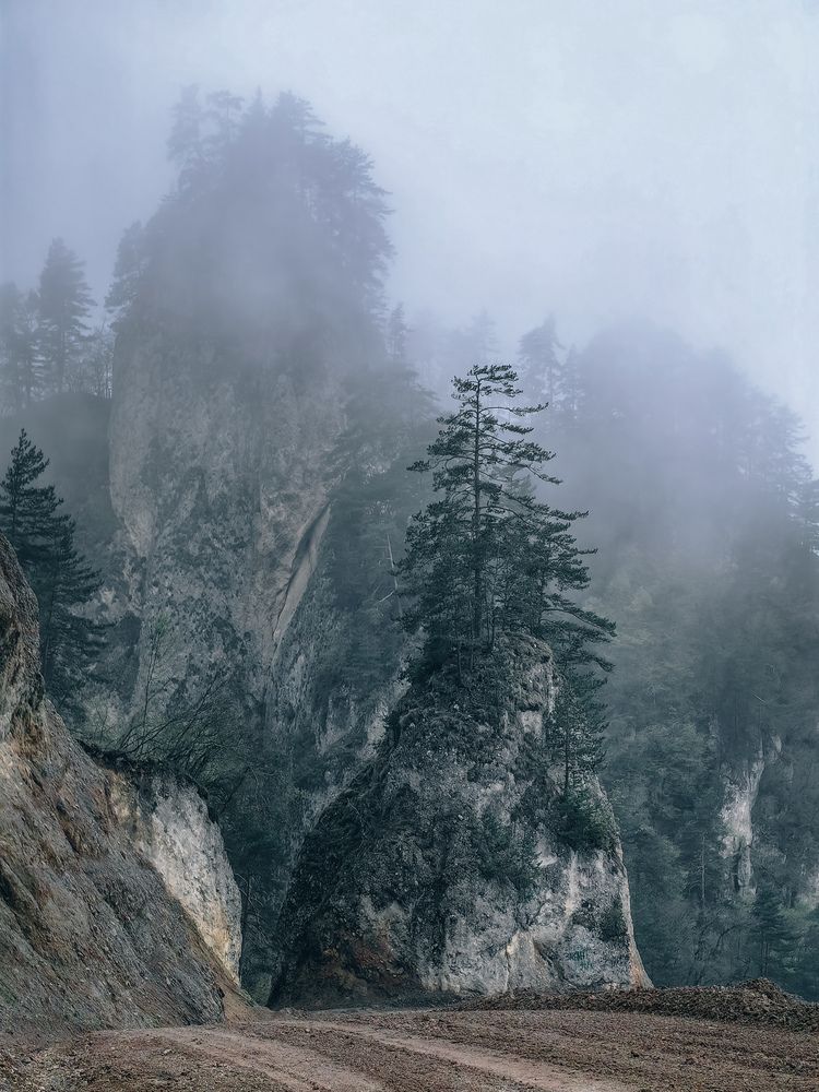 Фотография автора Татьяна Котова