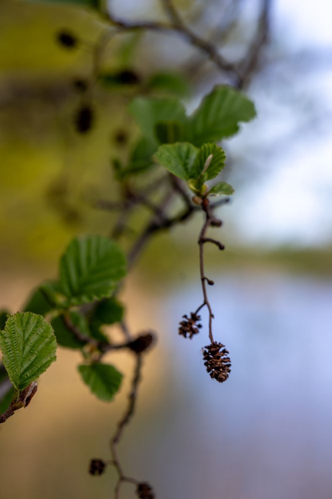Фотография автора Ruslan Badykov