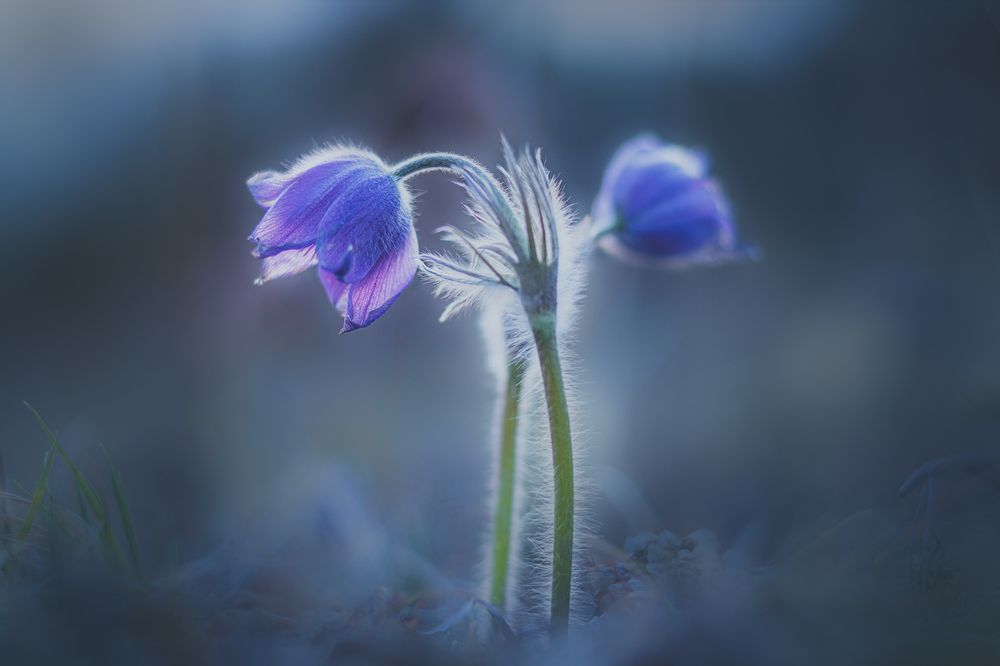 Photograph by Портных Дмитрий