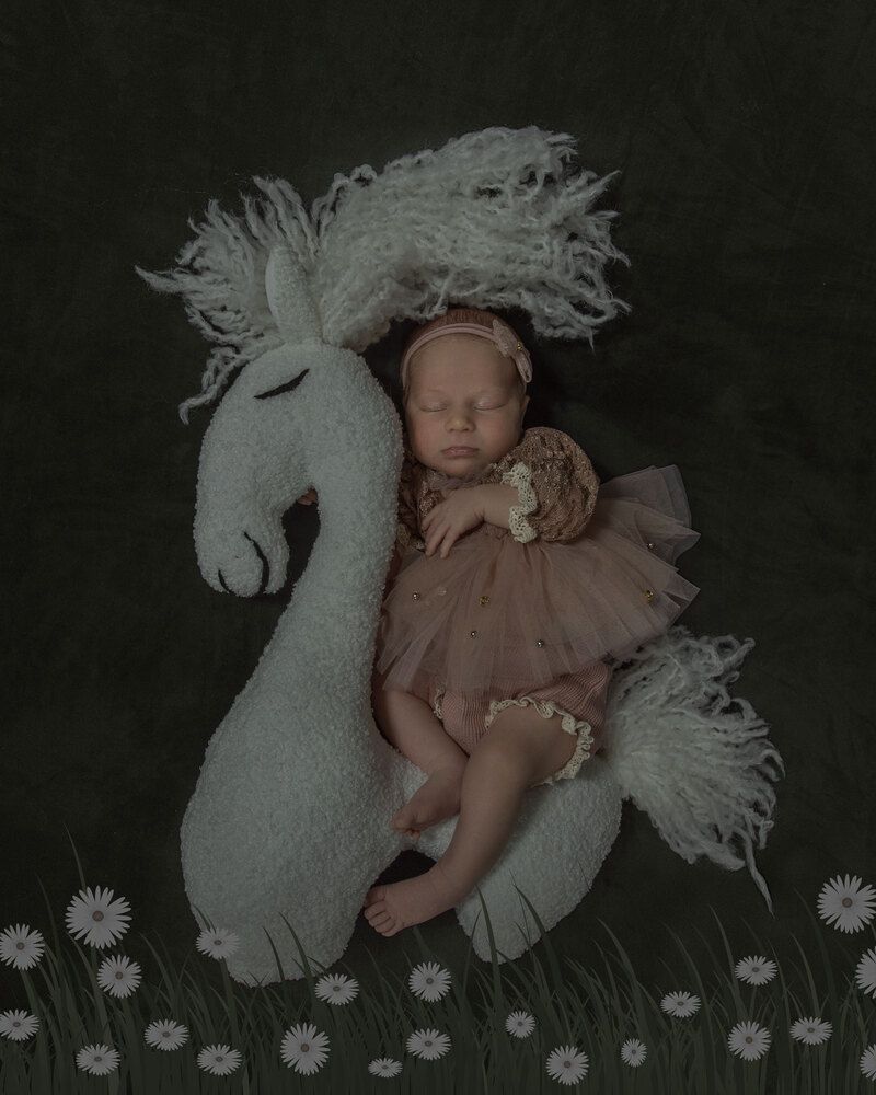 Фотография автора ANZHELA