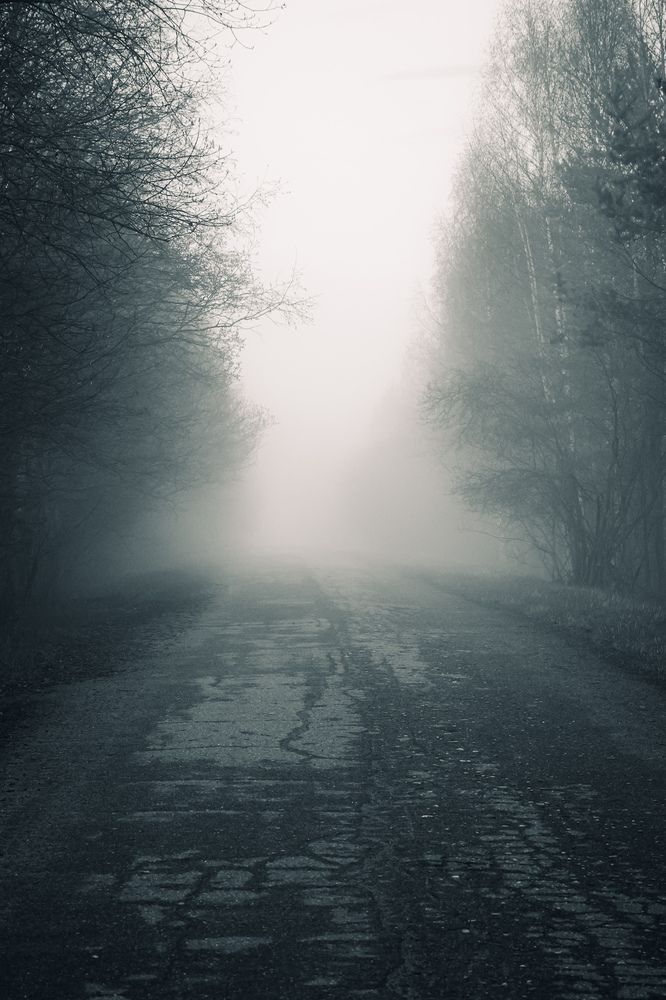 Photograph by Алексей Голубев