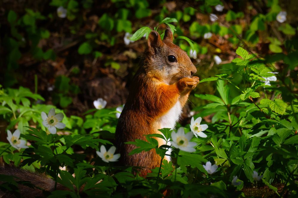 Photograph by Дмитрий Коновалов