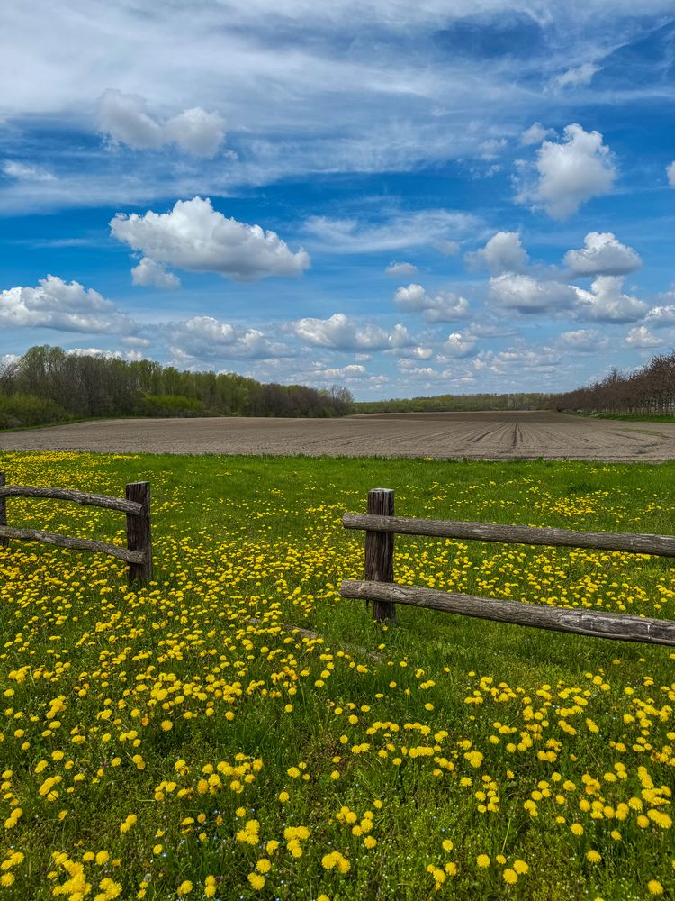 Photograph by Дарья Логовская