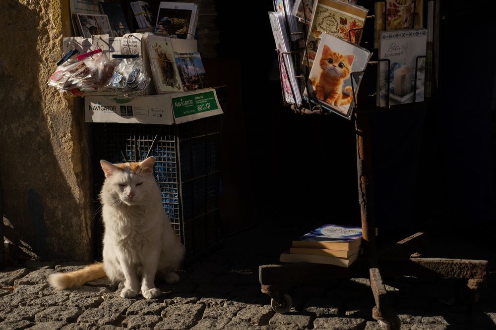 Photograph by Eva-Andrea Bodor