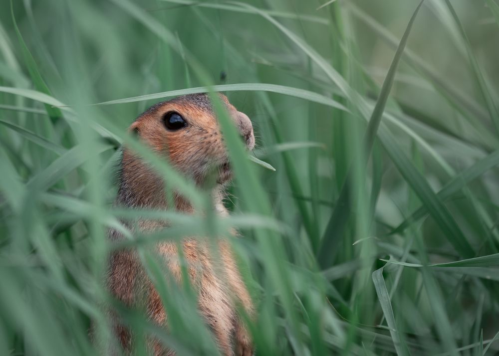 Photograph by Тамара Вотинцева