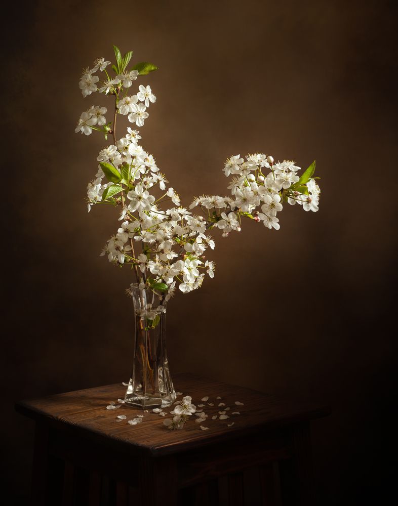 Photograph by Хвойнова Елена