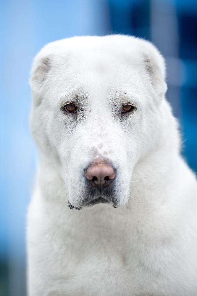 Photograph by Ирина Голомб