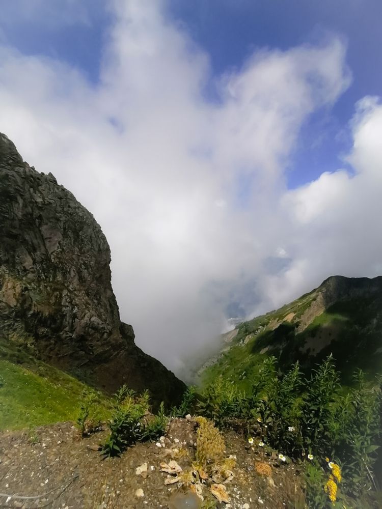 Фотография автора Татьяна Александровна Терехова